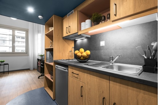 Oikotrust Venizelou 66 Oikotrust Venizelou 66 Premium Lofts